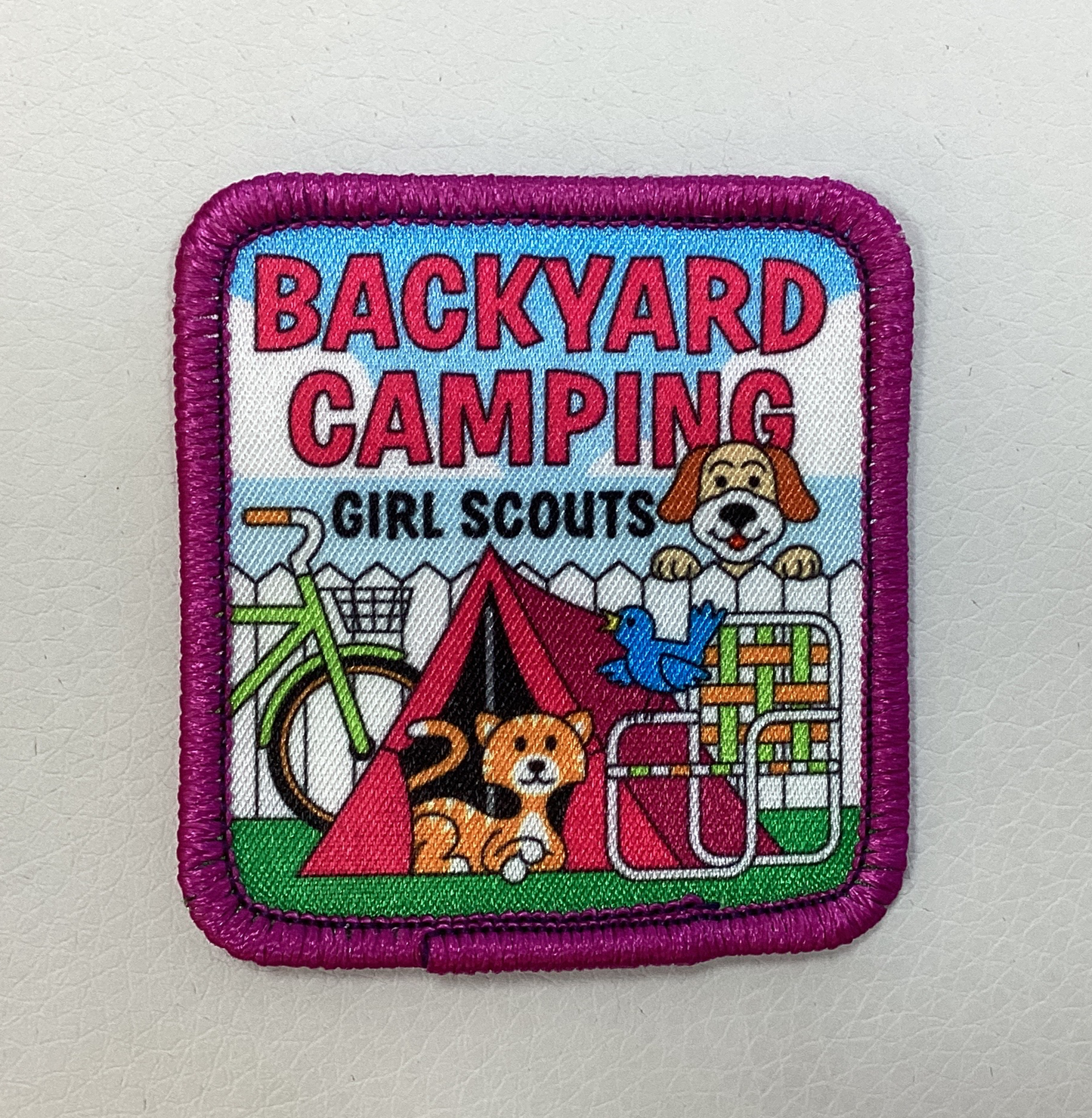 Backyard Camping girl scouts