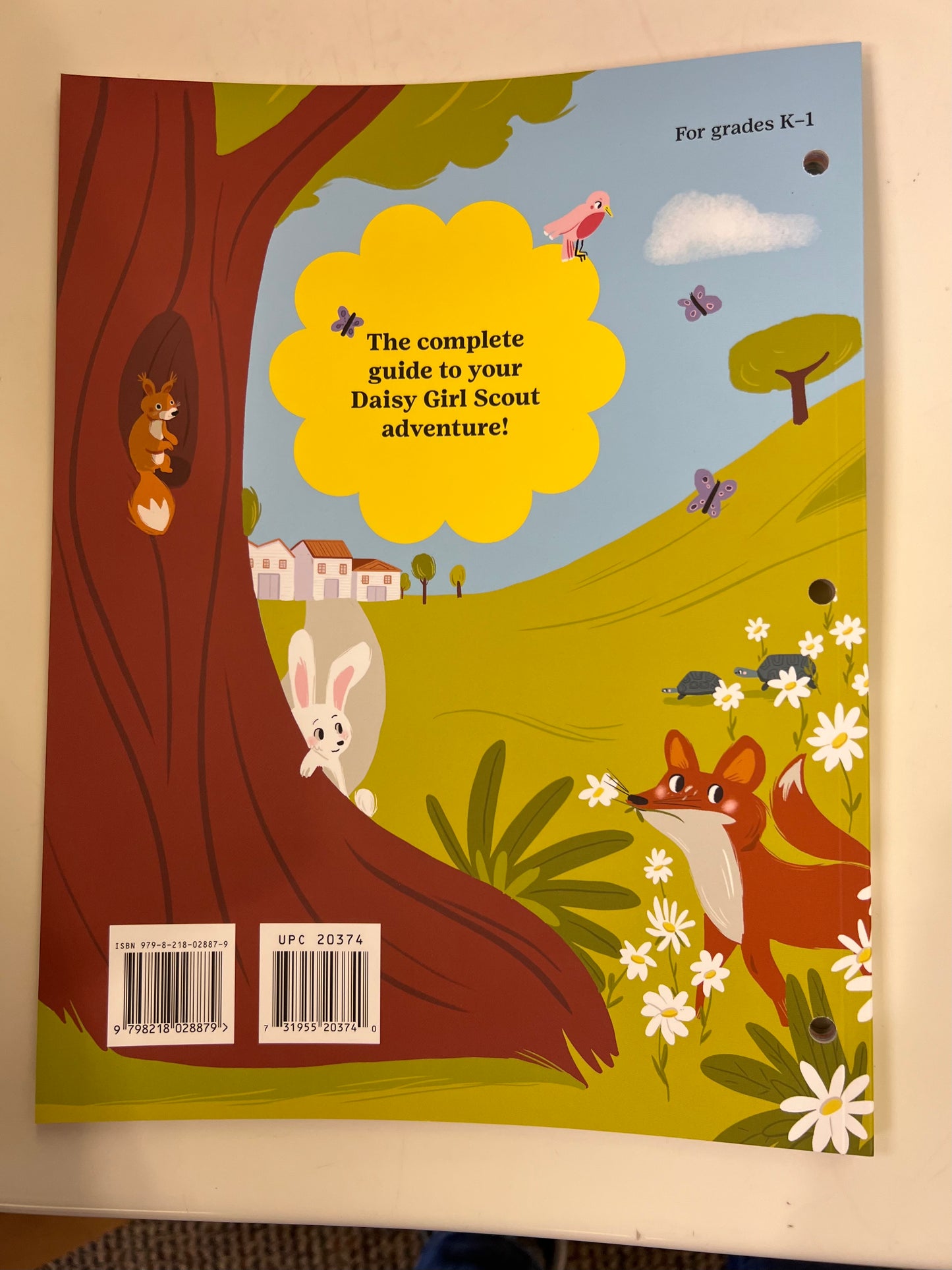 Daisy Girl Scout Handbook