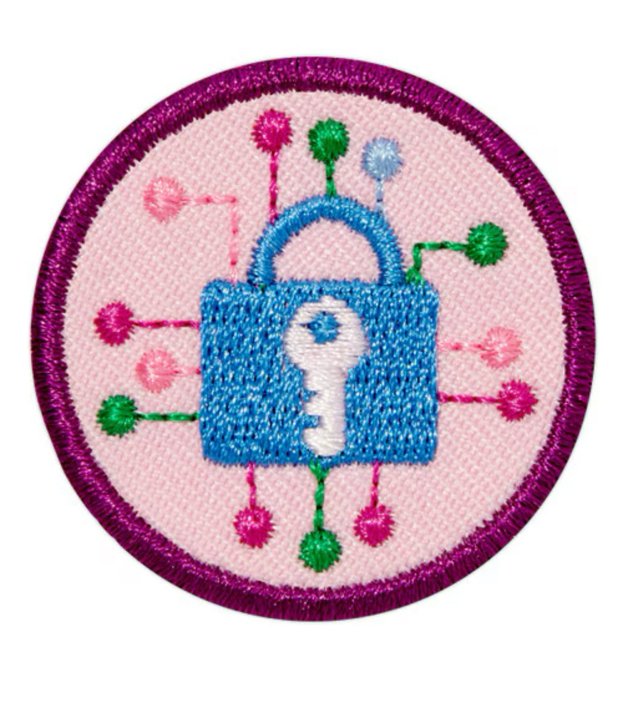 Junior Cybersecurity Investigator Badge