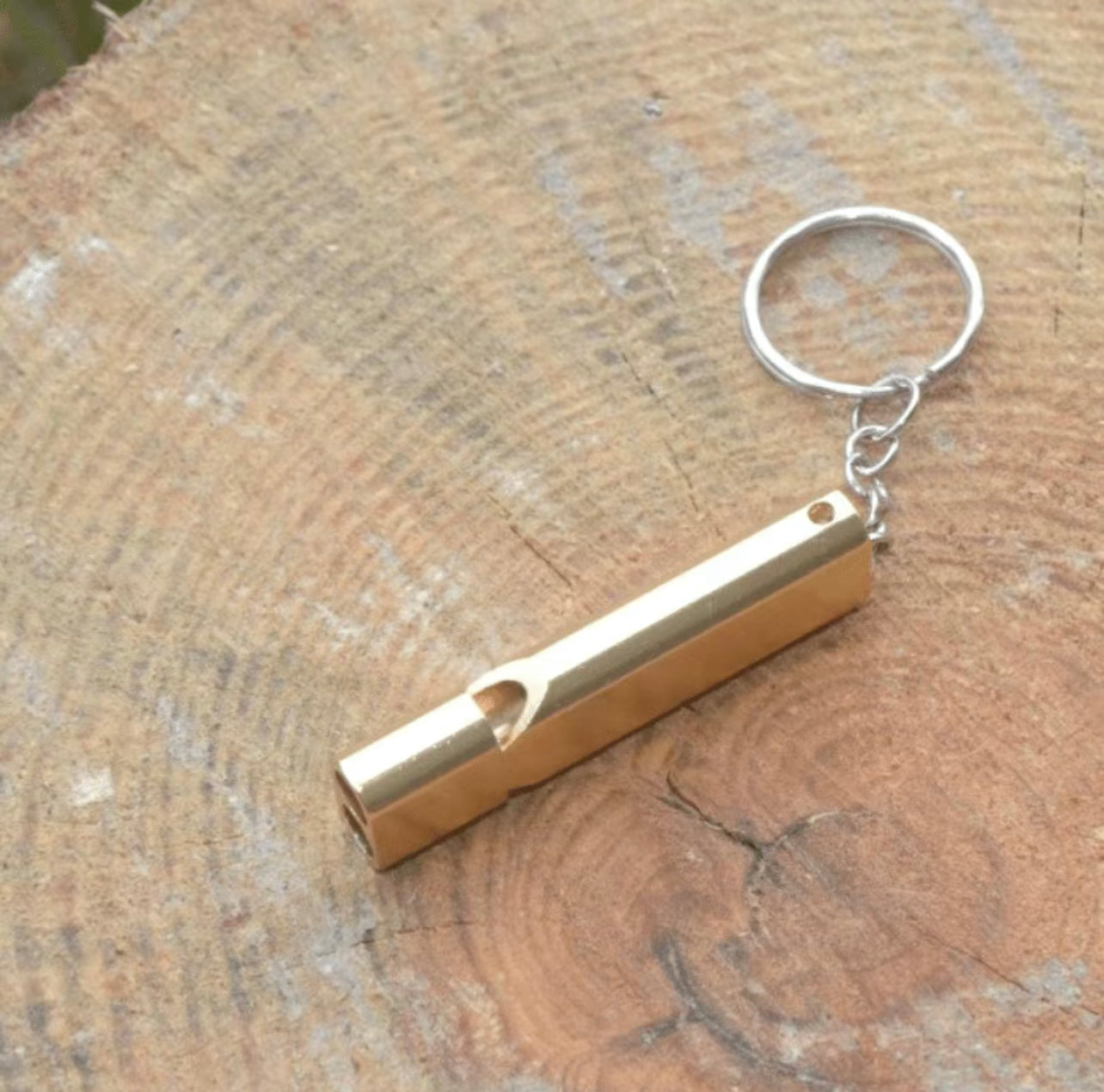 Dual whistle