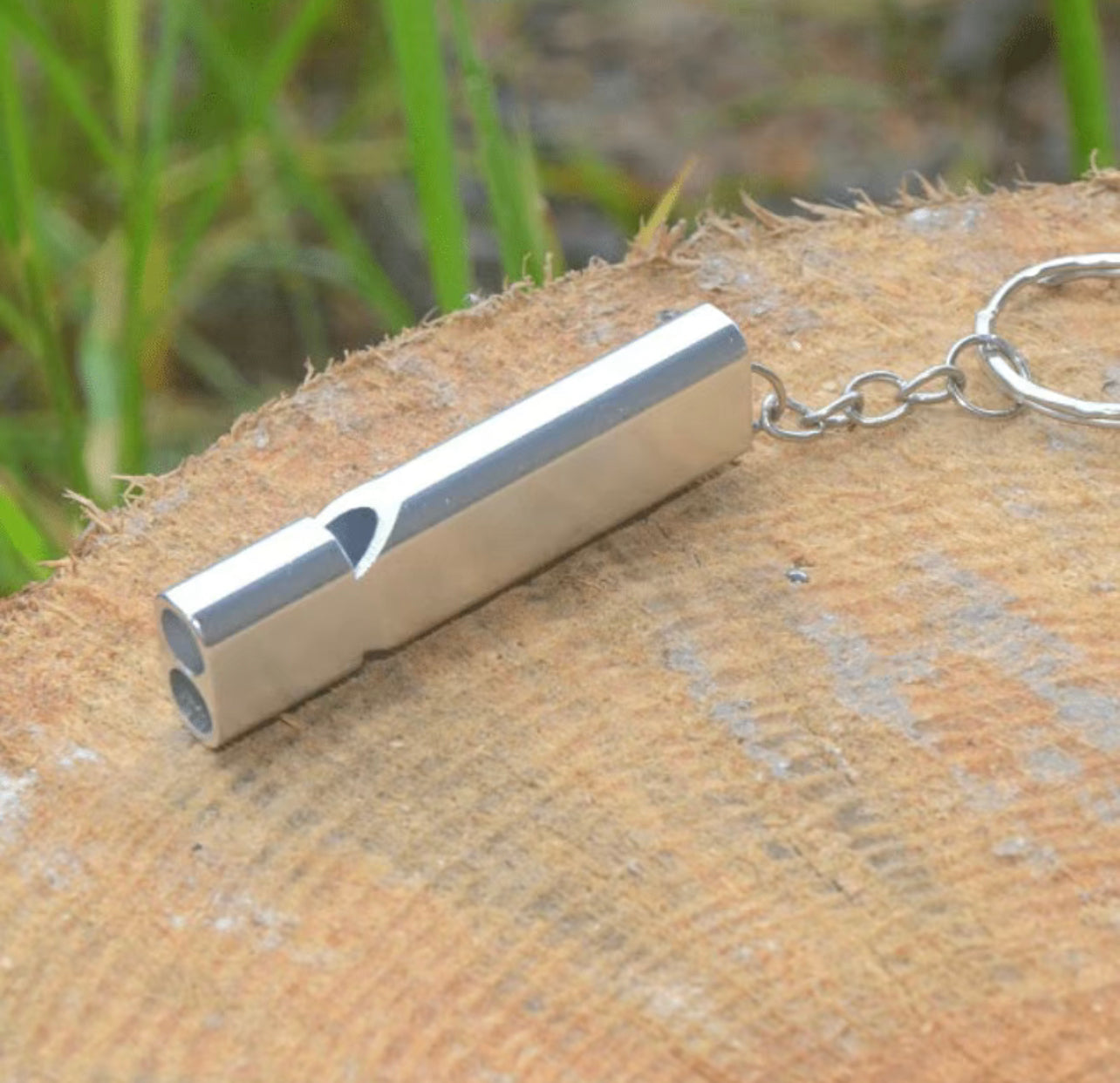 Dual whistle