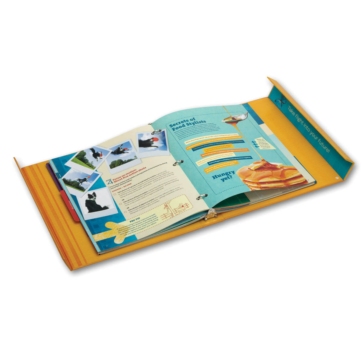 the ambassador girls guide to girl scouting