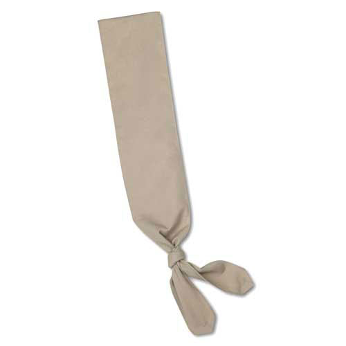 girl scouts cadette senior ambassador sash