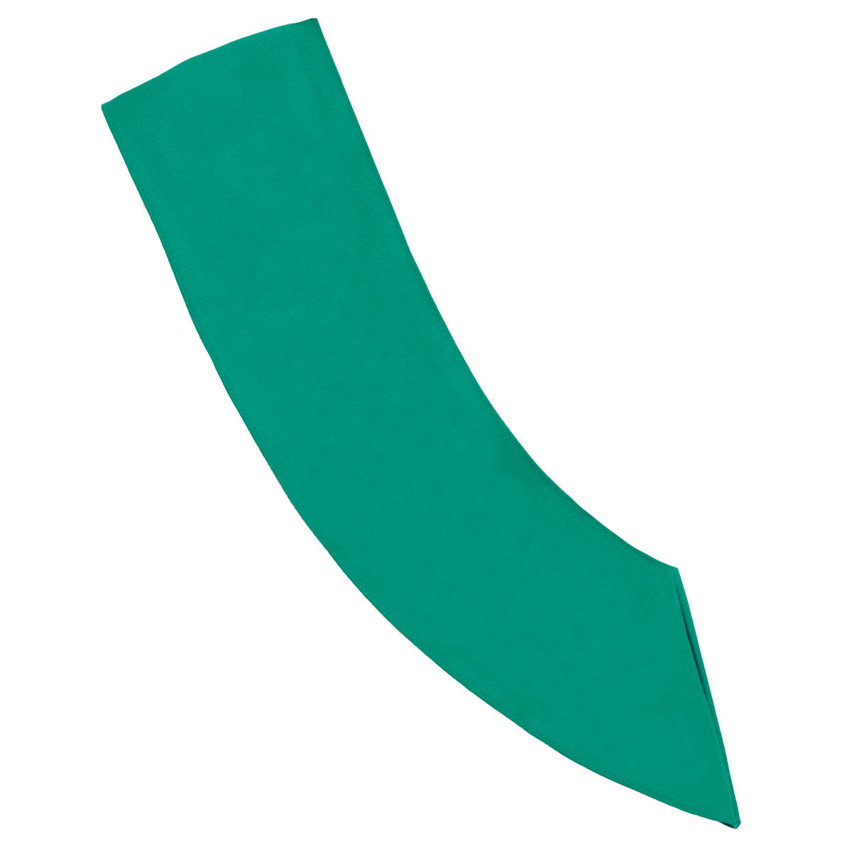 girl scouts junior sash