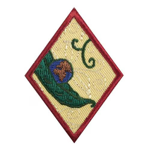 Cadette New Cuisines Badge