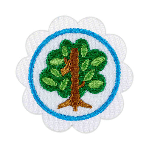 Daisy Shapes in Nature Badge