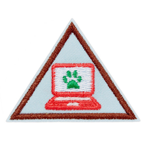 Brownie Cybersecurity rSafeguards Badge