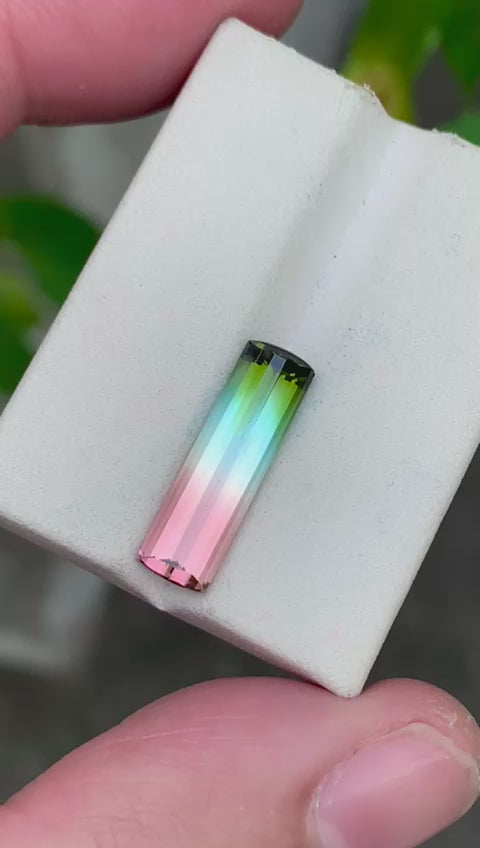 Natural watermelon tourmaline from Afghanistan