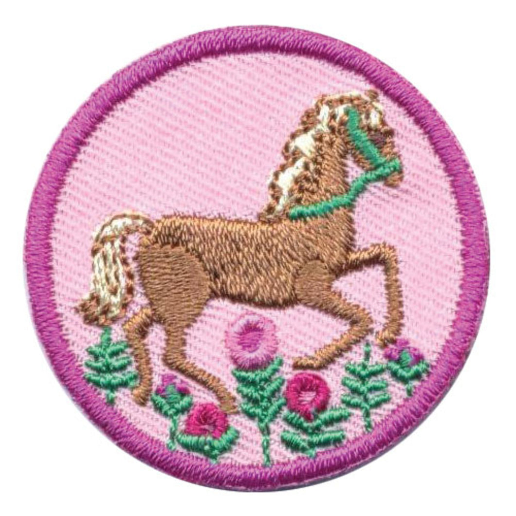 girl scouts junior horseback riding badge