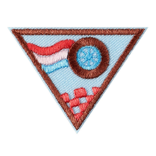 brownie race car design challenge badge
