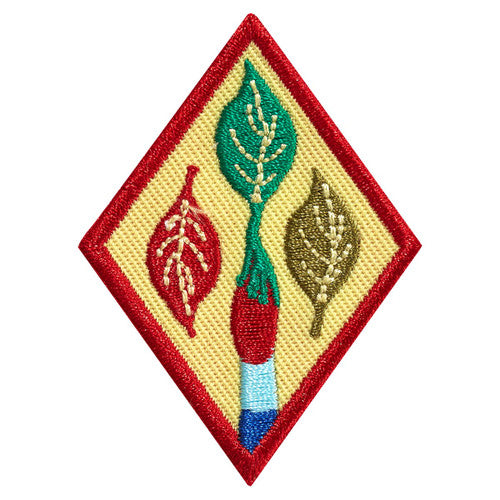 cadette outdoor art apprentice badge