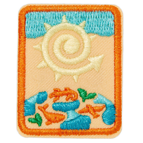 senior eco explorer badge