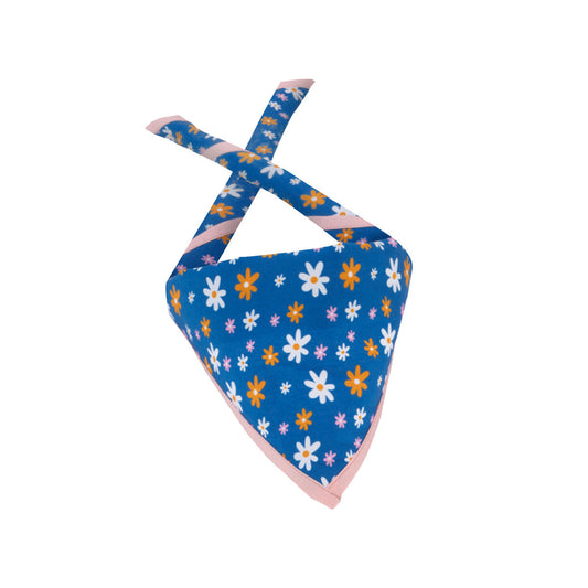 official daisy scarf